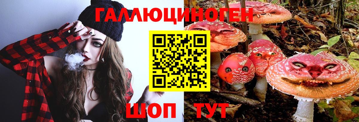 Галлюциногенные грибы Magic Shrooms  Псилоцибиновые грибы Psilocybine cubensis  Вход с VPN  Балахна 
